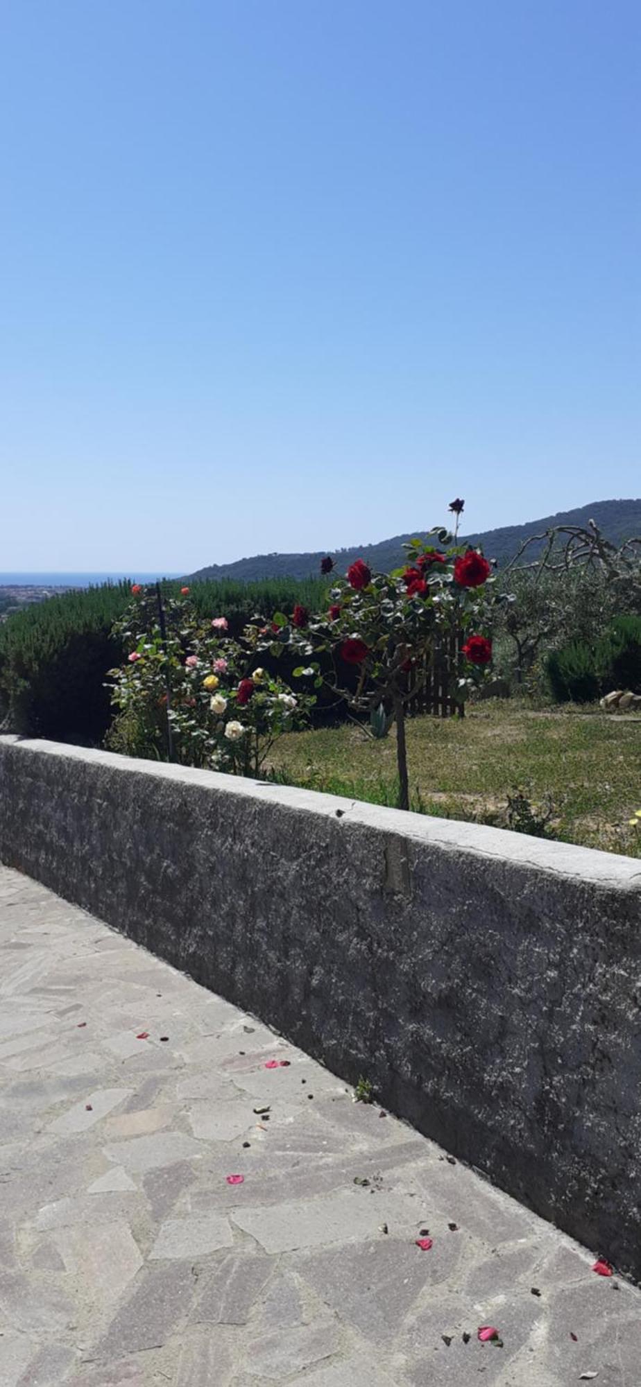 Bellavista Prile Bed and Breakfast Castiglione della Pescaia Δωμάτιο φωτογραφία